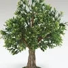 Fontanini Albero Tree 13", , 59536 Outlet