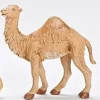 Stocking / Skirt^Fontanini Baby Dromedary Camel, 7.5", , 52871