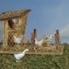 Fontanini Bird Shelter, , 56599 Best Sale