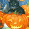 Custom DeCor Black Cat Pumpkin Flag Online