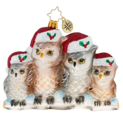 Stocking / Skirt^Christopher Radko Cr, It's Owl In The Family, 1020506,
