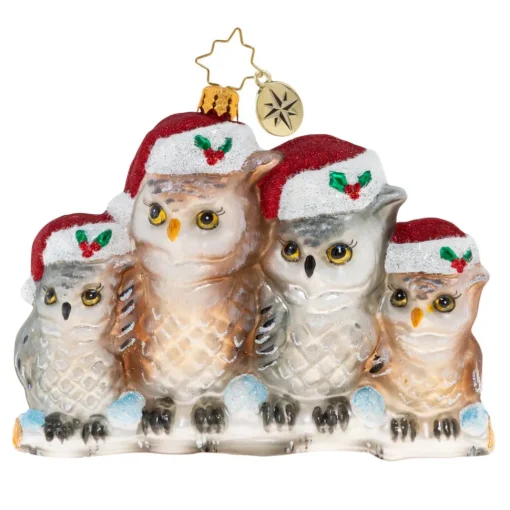 Stocking / Skirt^Christopher Radko Cr, It's Owl In The Family, 1020506,