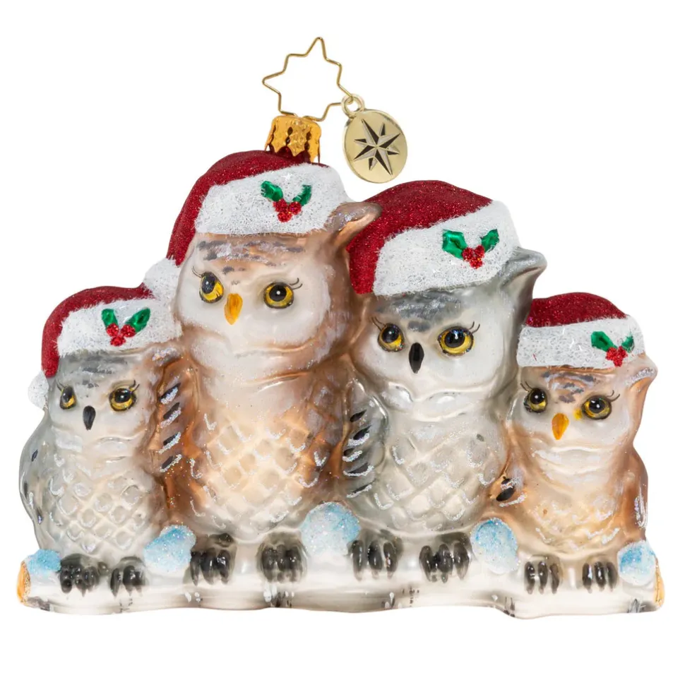 Stocking / Skirt^Christopher Radko Cr, It's Owl In The Family, 1020506,