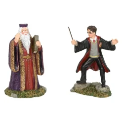 Department 56 Hp, Harry And The Headmaster, 6002314, Harry Potter Village Store