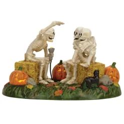 Department 56 Hv, Scary Skeleton Stories, 4056710, Halloween Village Outlet