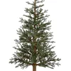 Un-Lit Trees^AllState 6'Hx40"D Angel Pine Slim Tree Wood Trunk, Yta696-Gr, Floral
