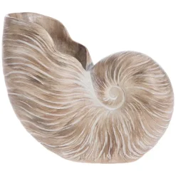 Resin^Raz Nautilus Shell Vase