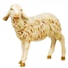 Fontanini Sheep Standing W/Head Straight 50", , 52336 Best Sale