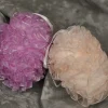 Easter^Robert Moore and Company, Inc Styro Cloth Eggs With Ruffles